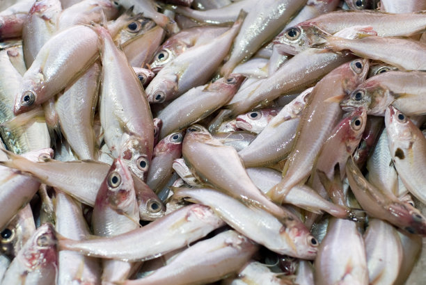 aji