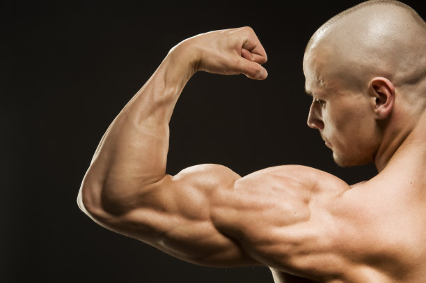 arms