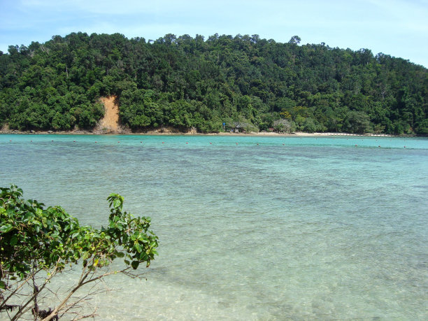 sapi