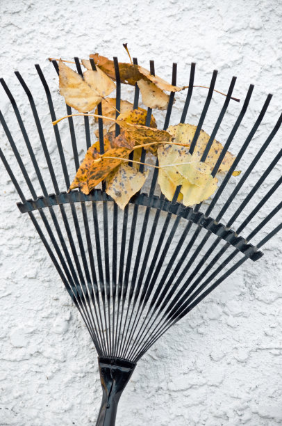 rake
