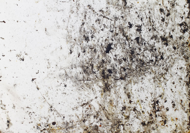 mud