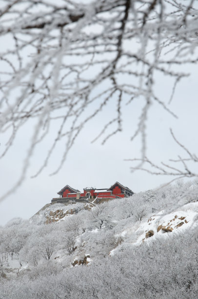 五岳泰山雪景景色