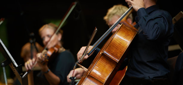 violin