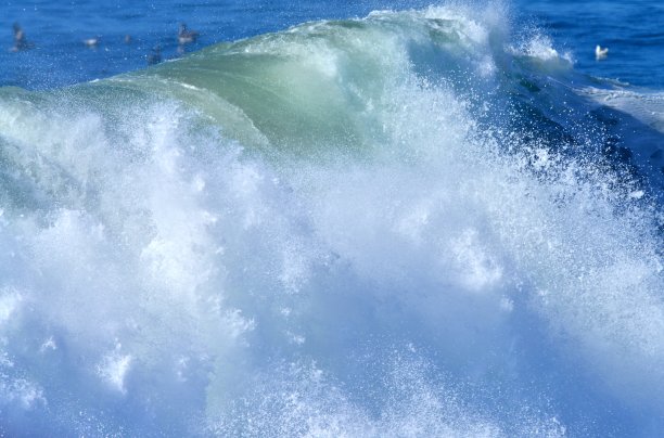 海浪,波浪,水