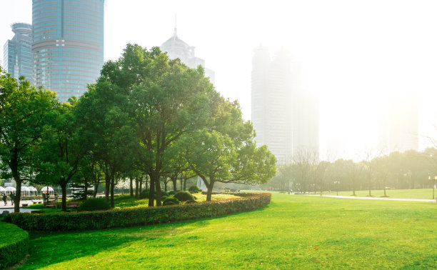 上海浦东新区陆家嘴晨曦城市风光