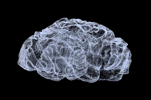 brain
