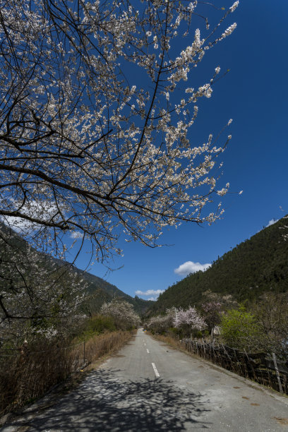 雅鲁藏布江