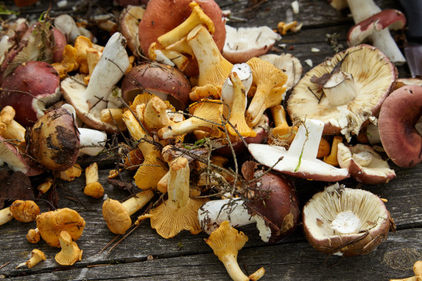 mushrooms