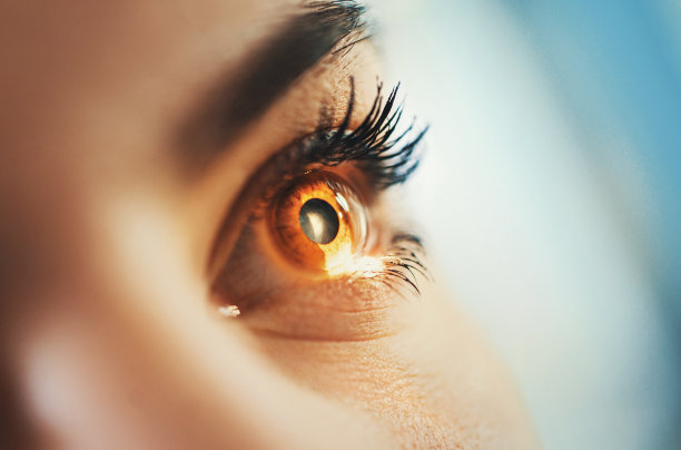 retina