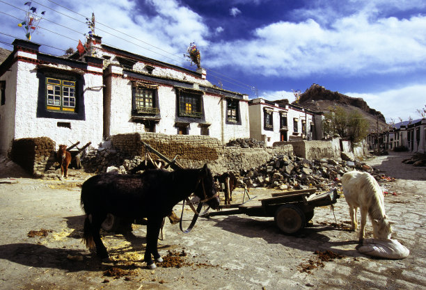 藏族居民楼