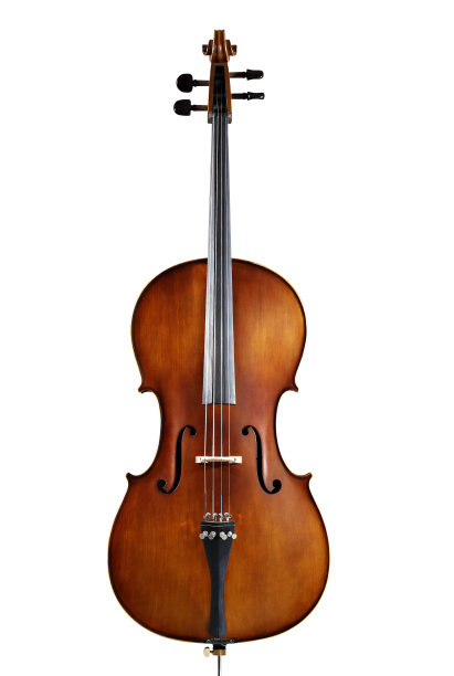 violin