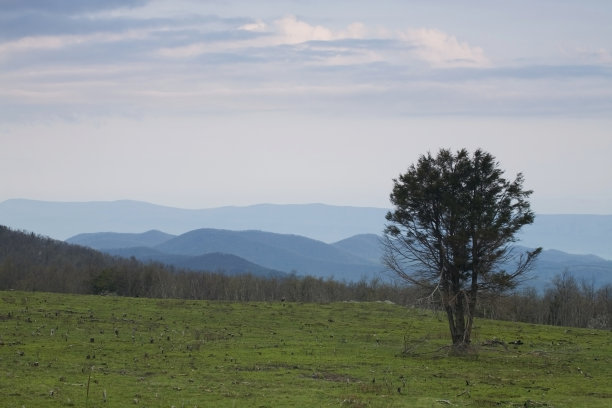 shenandoah