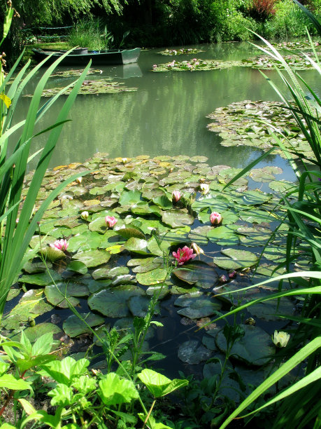 monet