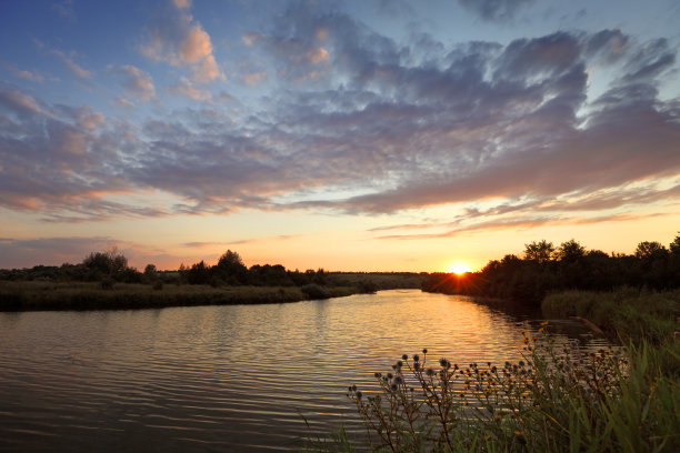 marsh