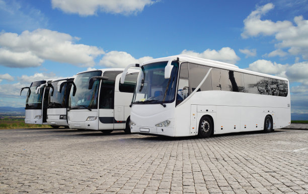 bus