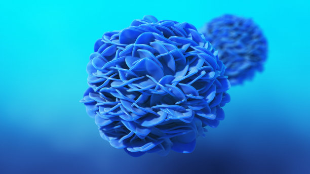 cd4