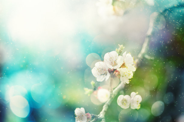 springtime