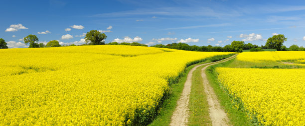 trail