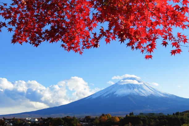 fuji
