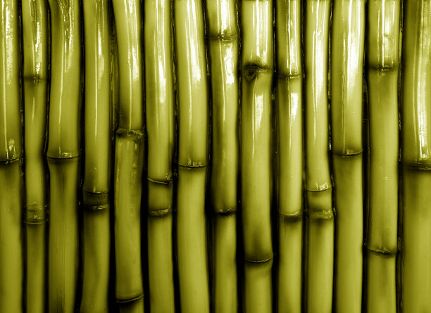 竹子素材竹林风光