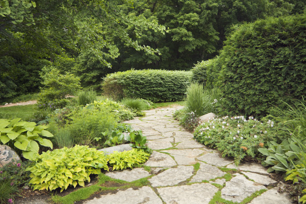 landscaping