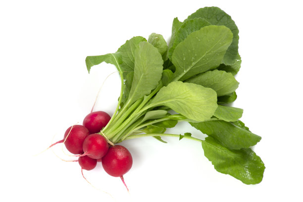 radishes