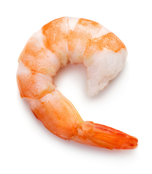 shrimps