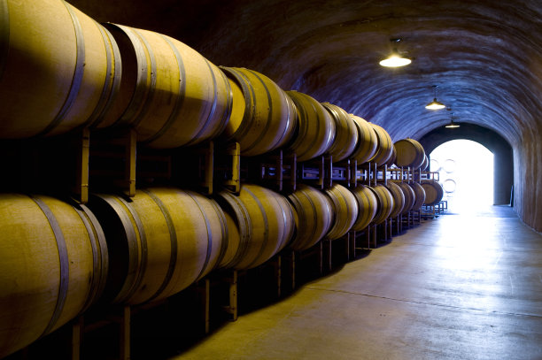 vineyard