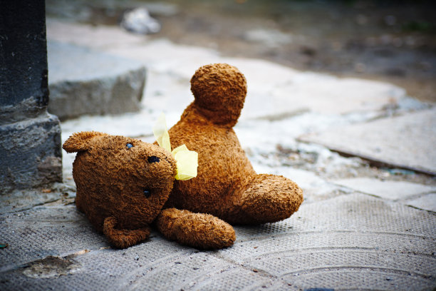 teddy