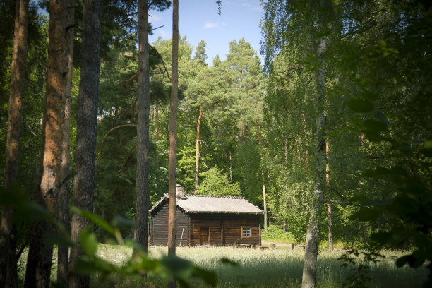 林间木屋