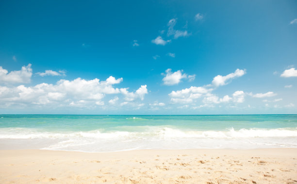 shore