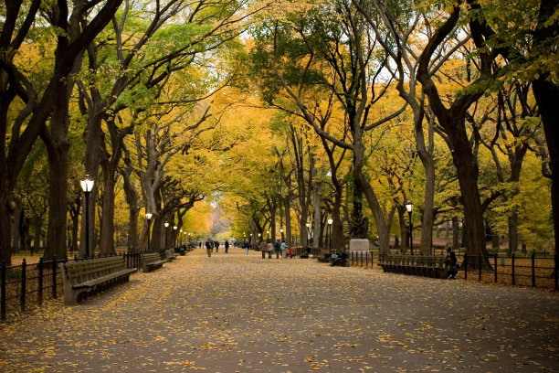newyork