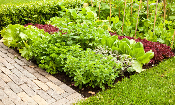 garden