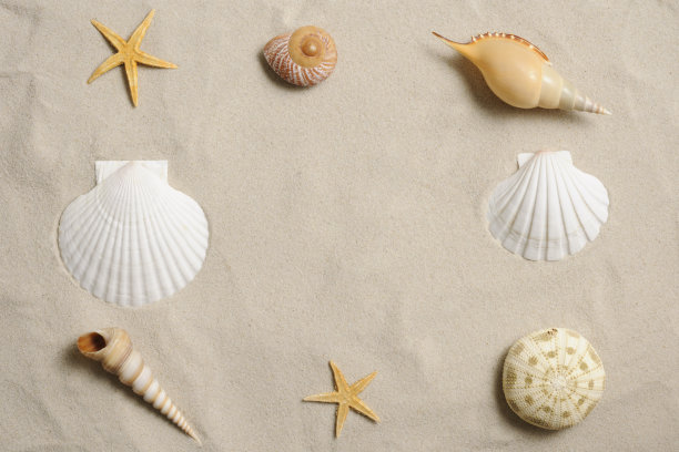 shells