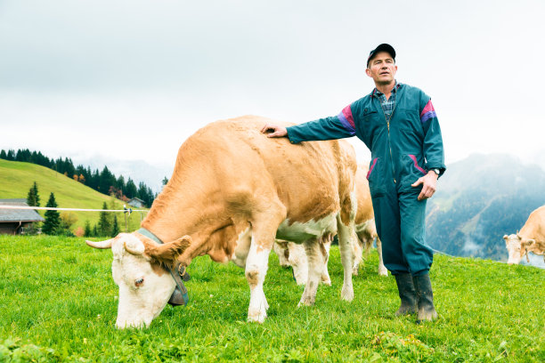 cow