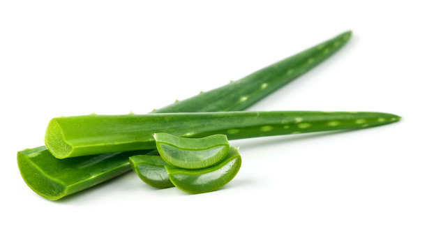 aloe