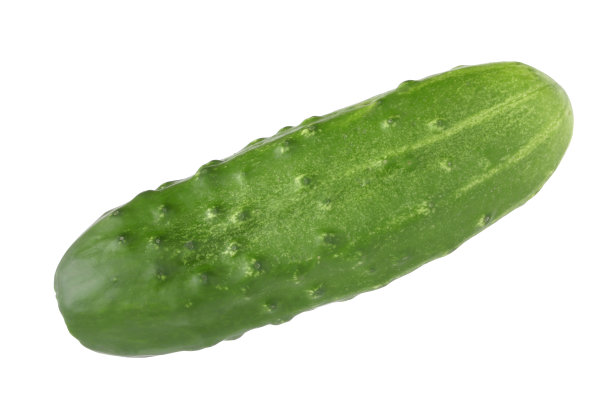 cucumber