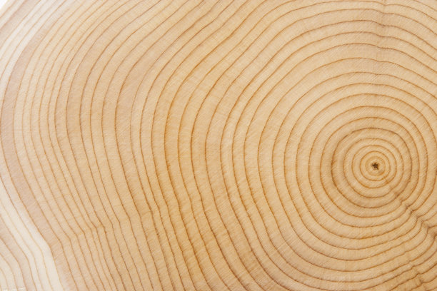 log