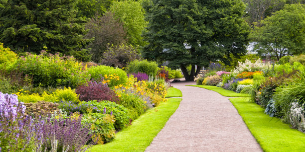 pathway