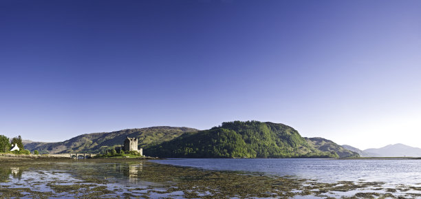 donan