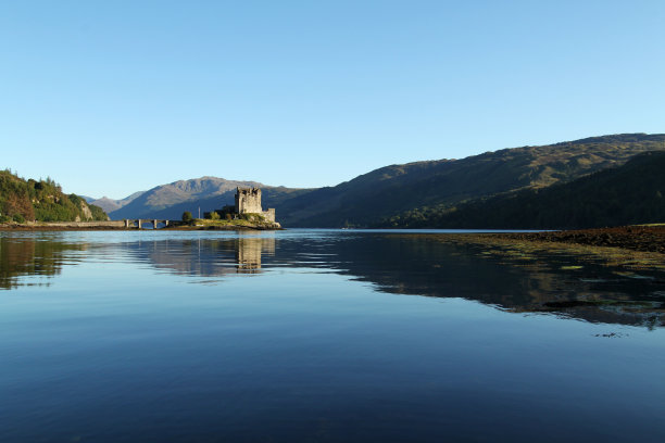 donan