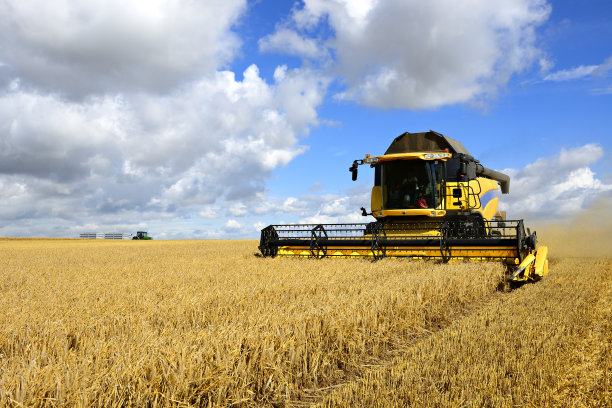 harvest
