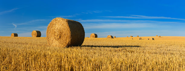 bale
