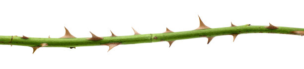 sharp