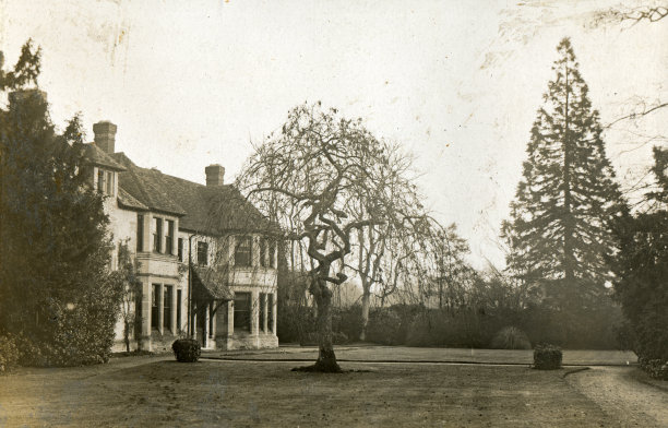 1900s