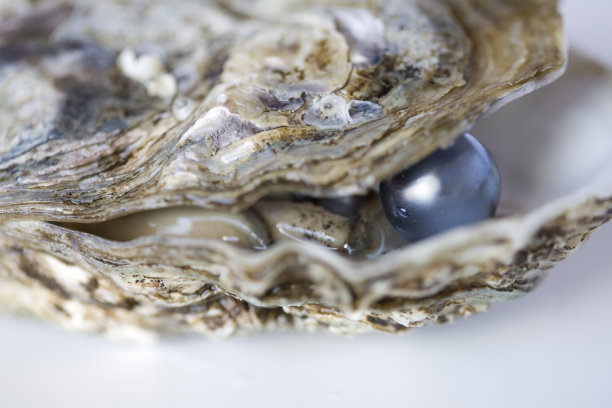 mussels