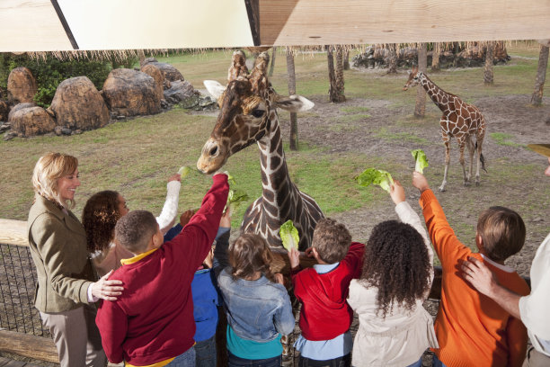 zoo