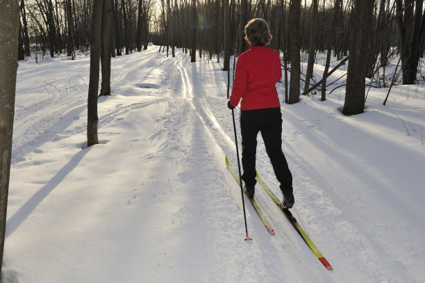 越野滑雪的小道