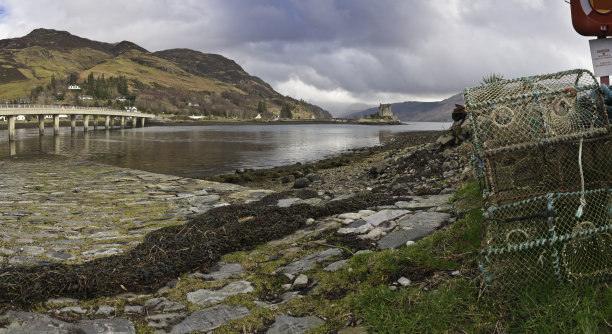 donan