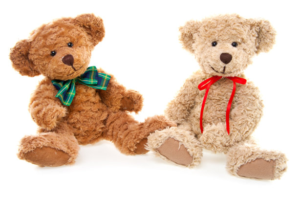 teddy
